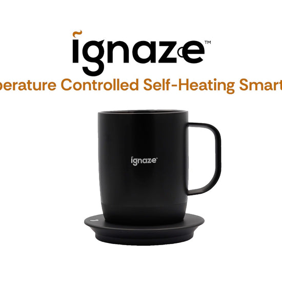 Ignaze Mug How To Thumbnail